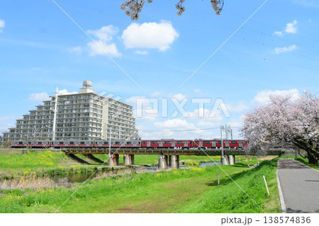 東急5050系4000番台Qシート組込み編成と桜　東上線内 138574836