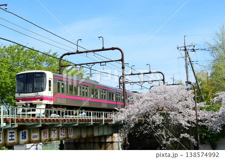 京王8000系8733Fと桜 138574992