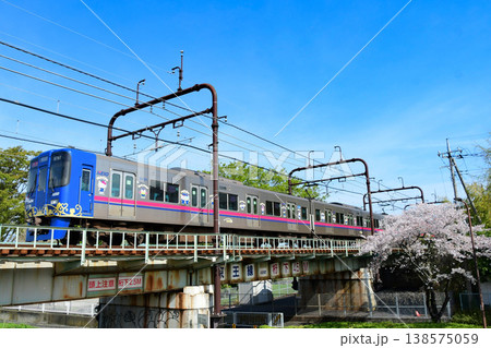京王9000系30番台9731F更新後サンリオラッピングトレイン3代目と桜 京王9000系30番台9731F更新後サンリオラッピングトレイン3代目と桜 138575059