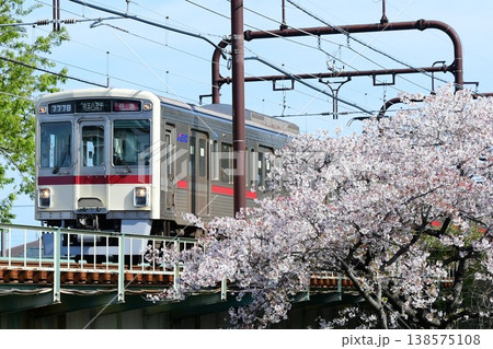 京王7000系7728F復刻臙脂帯とさくら 京王7000系7728F復刻臙脂帯とさくら 138575108