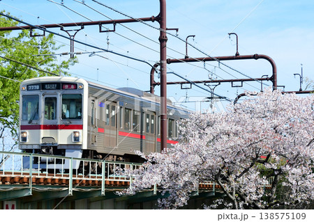 京王7000系7728F復刻臙脂帯と桜 138575109