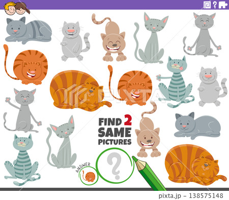 find two same cartoon cats and kittens characters activity game 138575148