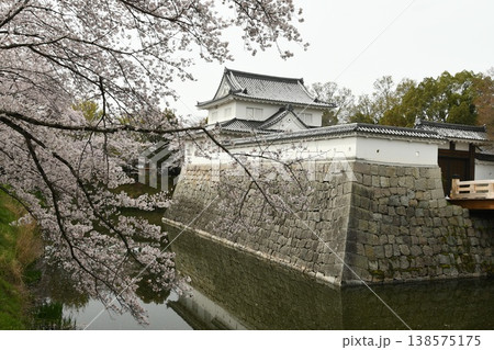 桜満開の水口城 138575175