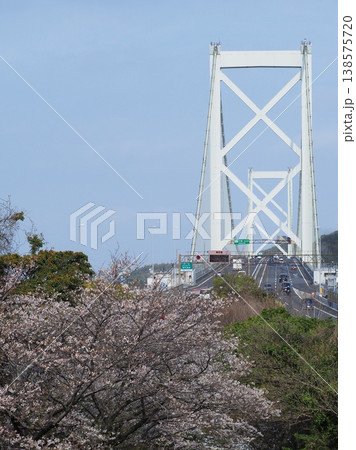 満開の桜と関門橋 138575720