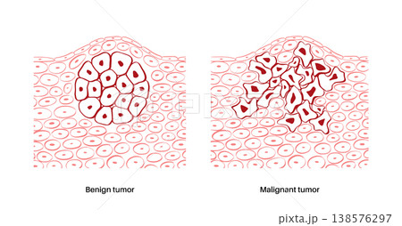 Cells structure sketch Cells structure sketch 138576297