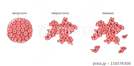 Cells structure sketch 138576300