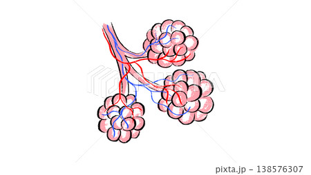 Cells structure sketch Cells structure sketch 138576307