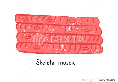 Cells structure sketch Cells structure sketch 138576309