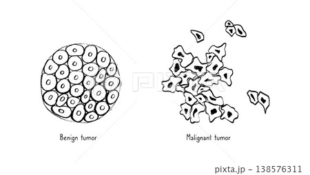 Cells structure sketch 138576311