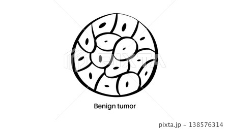 Cells structure sketch 138576314
