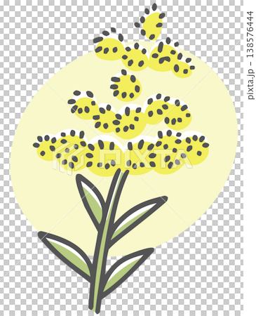 Ragweed - Simple plant illustration 138576444