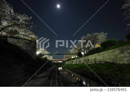 ピンクムーンと夜桜満開の山崎川 138576491
