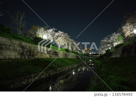 夜桜満開の山崎川 夜桜満開の山崎川 138576493