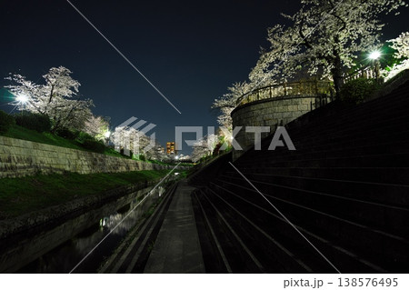 夜桜満開の山崎川 138576495