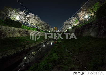 夜桜満開の山崎川 夜桜満開の山崎川 138576496