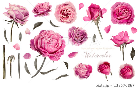 ピンク色のロマンティックな薔薇のベクターイラストセット ピンク色のロマンティックな薔薇のベクターイラストセット 138576867