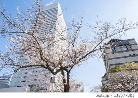 満開の桜の木とビルの風景 138577303