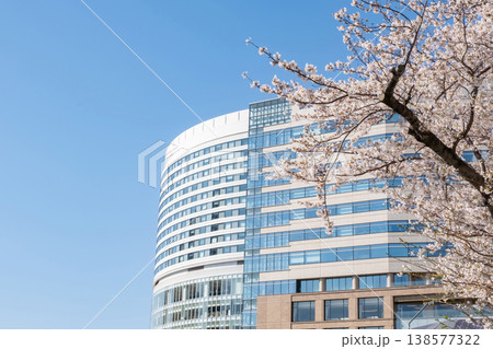 満開の桜の木とビルの風景 138577322