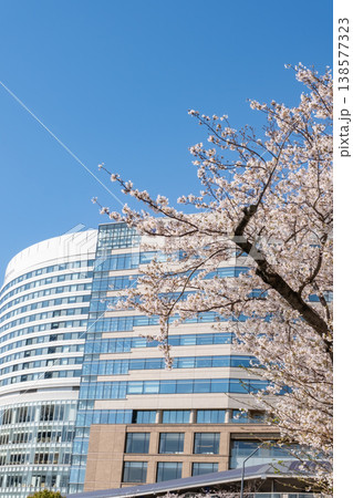 満開の桜の木とビルの風景 138577323