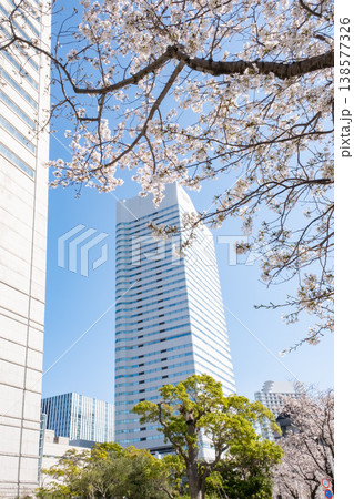満開の桜の木とビルの風景 満開の桜の木とビルの風景 138577326
