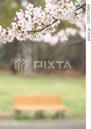 サクラ咲く、春の香りと日本の風景 サクラ咲く、春の香りと日本の風景 138577989