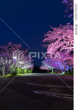 幻想的な夜桜のライトアップと春の夜空 138578105