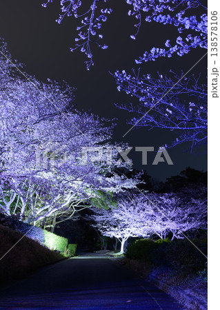 幻想的な夜桜のライトアップと春の夜空 138578106