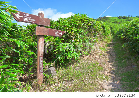 伊豆半島 夏の伊豆山稜線歩道 戸田駐車場の達磨山への登山口 伊豆半島 夏の伊豆山稜線歩道 戸田駐車場の達磨山への登山口 138578134