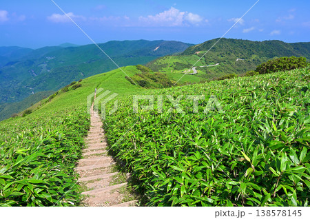 伊豆半島　夏の達磨山　草原の伊豆山稜線歩道の縦走路 138578145