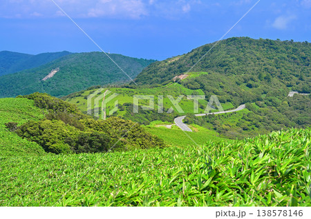 伊豆半島の伊豆山稜線歩道　達磨山より望む夏の金冠山と小達磨山 138578146