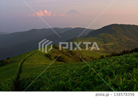 伊豆半島の伊豆山稜線歩道 達磨山の登山道より望む朝焼けの富士山と小達磨山 伊豆半島の伊豆山稜線歩道 達磨山の登山道より望む朝焼けの富士山と小達磨山 138578356