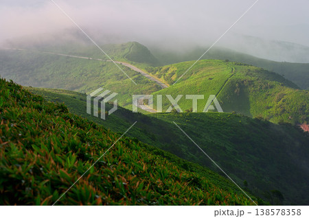 伊豆半島の伊豆山稜線歩道　達磨山より望む朝の古稀山 138578358