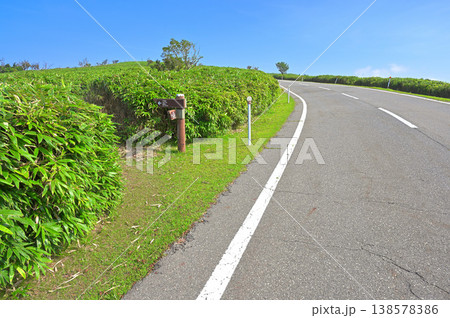 伊豆半島の伊豆山稜線歩道 古稀山の南側入口 伊豆半島の伊豆山稜線歩道 古稀山の南側入口 138578386