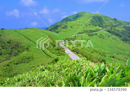 伊豆半島の伊豆山稜線歩道　草原の風景　古稀山山頂より望む達磨山 138578390