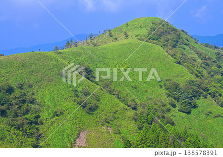 伊豆半島の伊豆山稜線歩道 古稀山より夏の緑の山地 伊豆半島の伊豆山稜線歩道 古稀山より夏の緑の山地 138578391