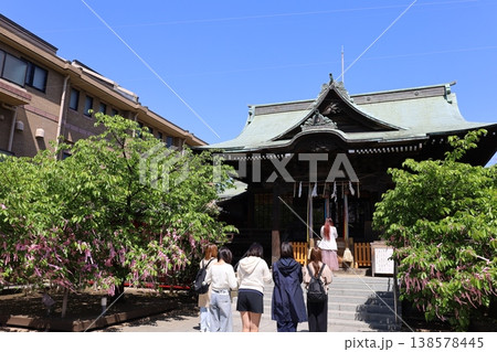 桜神宮の本堂と花帯の風景(世田谷区桜新町) 桜神宮の本堂と花帯の風景(世田谷区桜新町) 138578445