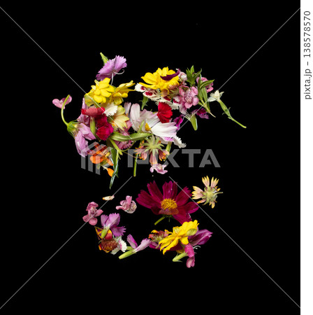 Colorful flower petals falling romantic black background isolated with real photo red, yellow, pink colorful flower petals flying. Love, romance floral spring season, wedding invitation 138578570