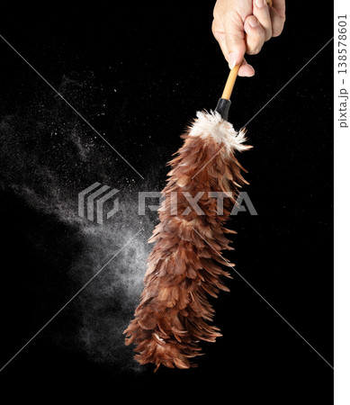Old Traditional Feather Duster stick made from Chicken to clean house dust and web. Room Ceiling and window covered with dust bunnies, cobweb. Black background isolated Old Traditional Feather Duster stick made from Chicken to clean house dust and web. Room Ceiling and window covered with dust bunnies, cobweb. Black background isolated 138578601