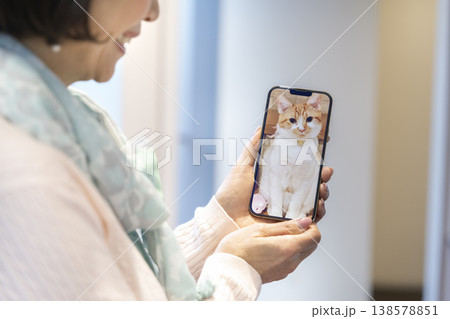 スマホで留守番中の愛猫の様子を確認する女性　ペットカメラ イメージ 138578851