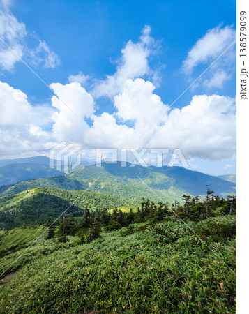 夏の岩菅山登山（ノッキリ～岩菅山山頂）：横手山方面の眺め 138579099