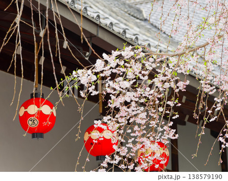 桜と赤提灯が彩る日本の春風景, Japanese cherry blossoms and red l 桜と赤提灯が彩る日本の春風景, Japanese cherry blossoms and red l 138579190