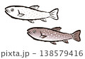 アメマス 138579416