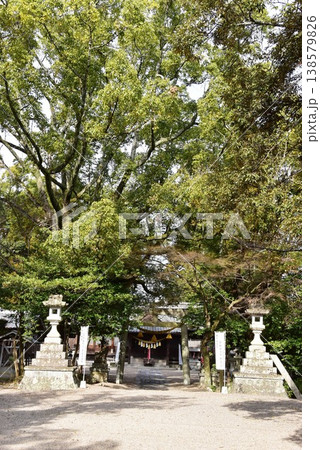 三重県亀山市　亀山神社の鳥居と拝殿 138579826
