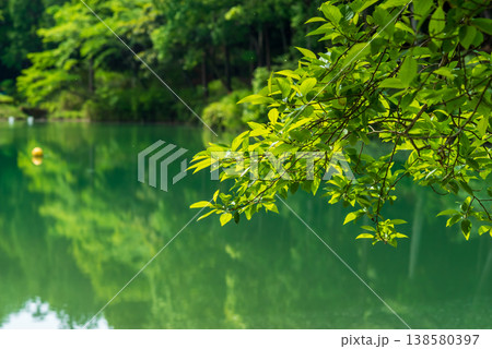 四日市市少年自然の家《三重県 四日市市 水沢町》 138580397