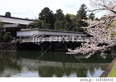皇居平川門の桜 皇居平川門の桜 138580418