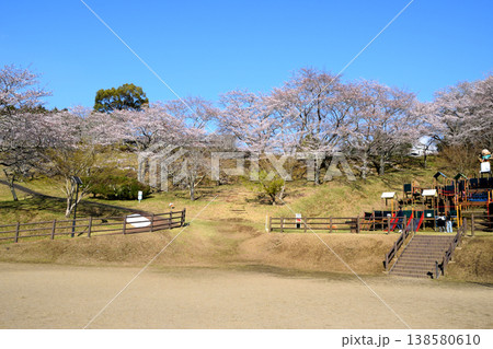 桜爛漫 138580610