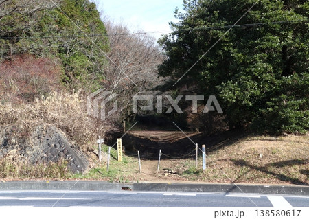 冬の奥武蔵自然歩道にて（入口：R299→ほほえみの丘） 138580617