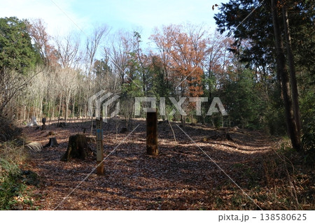 冬の奥武蔵自然歩道（ほほえみの丘） 138580625