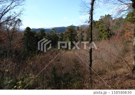 冬の奥武蔵自然歩道にて（萩の峰） 138580630