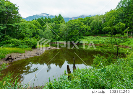 250812秋山郷天池 250812秋山郷天池 138581246